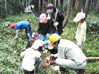 環境の森の整備
