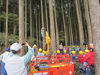 学校林を活用した森林環境教育