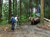 林業作業現場を撮影