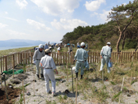 森林ボランティアの日植樹作業