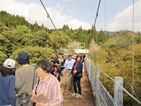 吊り橋散策(県民の森）