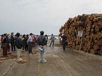 輸出用木材について学ぶ