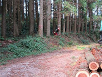 伐倒作業と高性能林業機械